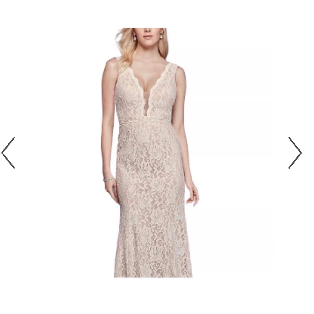 David's Bridal ivory lace gown with a V-neck and zipper back closure size 8